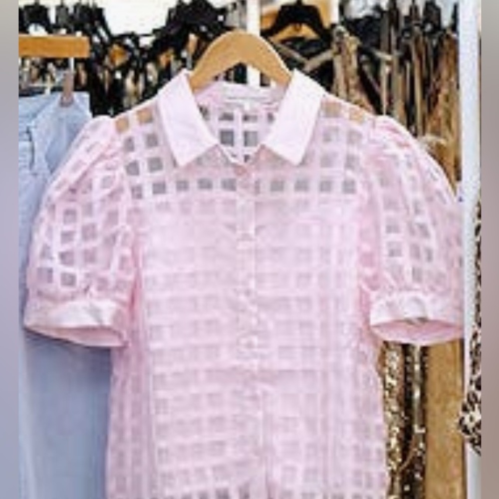English Factory Pink Sheer Grid Button-Down Blouse - Picture 5 of 16